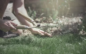 hands clipping grass